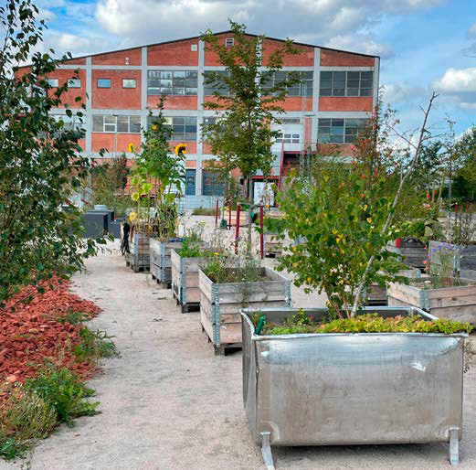 16 Byfortætning og byspredning følges ad-4.jpg