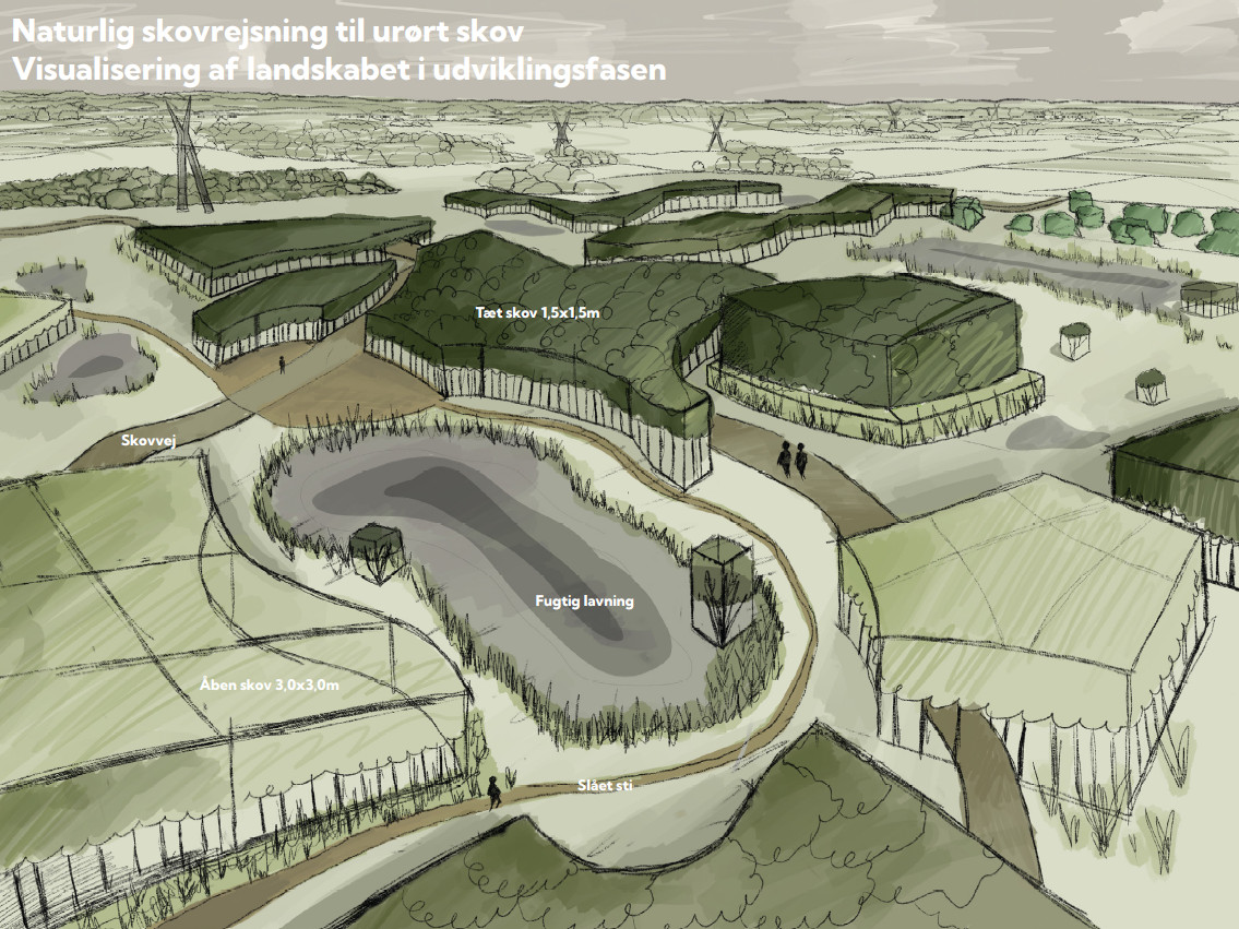 visualisering