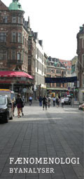 faenomenologi_120x255_web